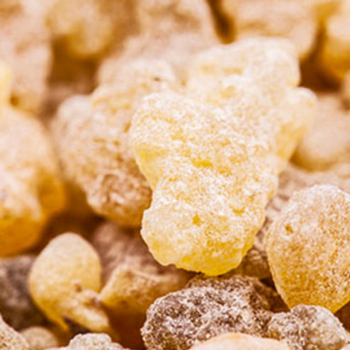 FRANKINCENSE VITAL ESSENTIAL OIL, SOMALIA