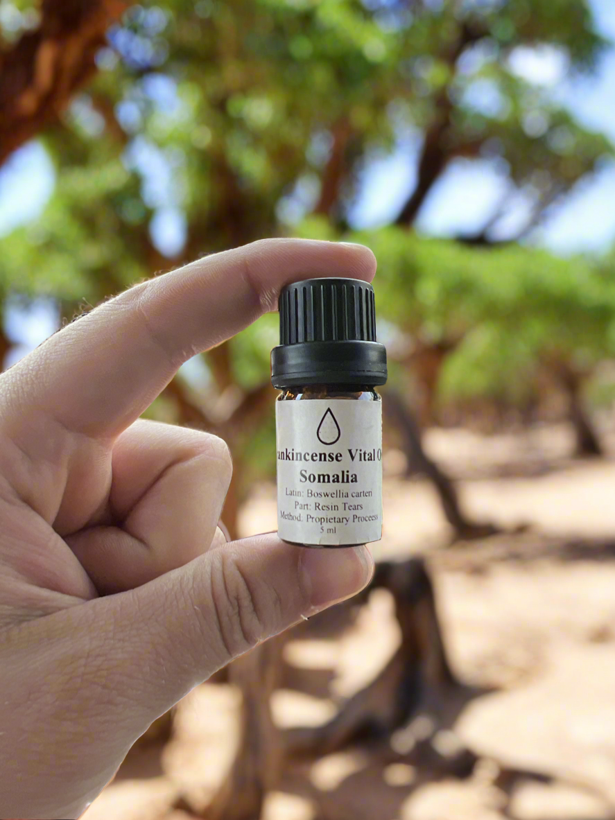 FRANKINCENSE VITAL ESSENTIAL OIL, SOMALIA